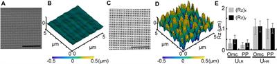 Programmed Topographic Substrates for Studying Roughness Gradient-Dependent Cell Migration Using Two-Photon Polymerization